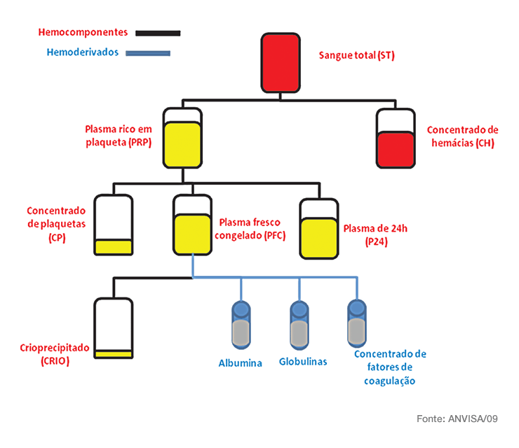 Esquema de processamento de hemocomponentes